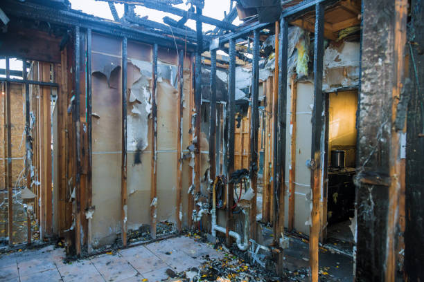 Professional Smoke Damage Removal technician working in Governors Club, NC